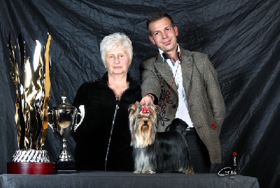 du Gué de l'Adour - TERRIER SPECIALTY - Zagreb