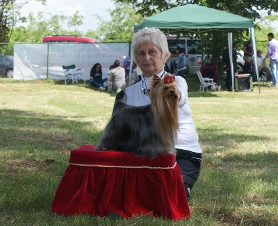 du Gué de l'Adour - INTERNATIONAL SHOW-Umag Croatie