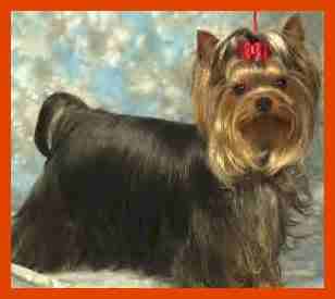 Red-rubis du Gué de l'Adour