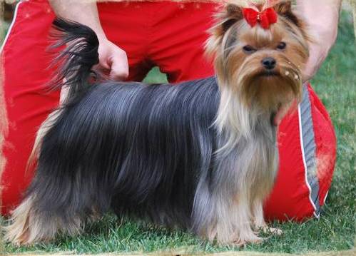 D'gin-get du Gué de l'Adour