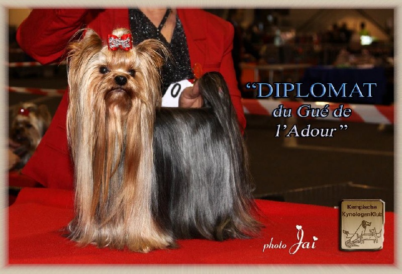 Diplomat du Gué de l'Adour