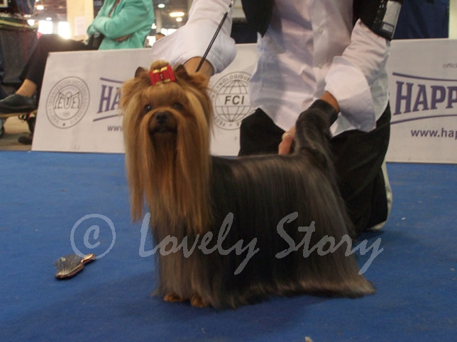 CH. Beloved freedom du Gué de l'Adour