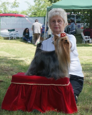 du Gué de l'Adour - INTERNATIONAL SHOW-Umag Croatie